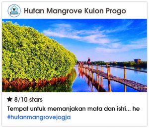 Objek Wisata Murah Meriah di Jogja - Hutan Mangrove Kulon Progo