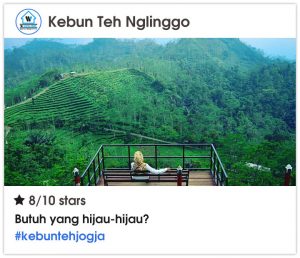 Objek Wisata Murah Meriah di Jogja - Kebun Teh Nglinggo