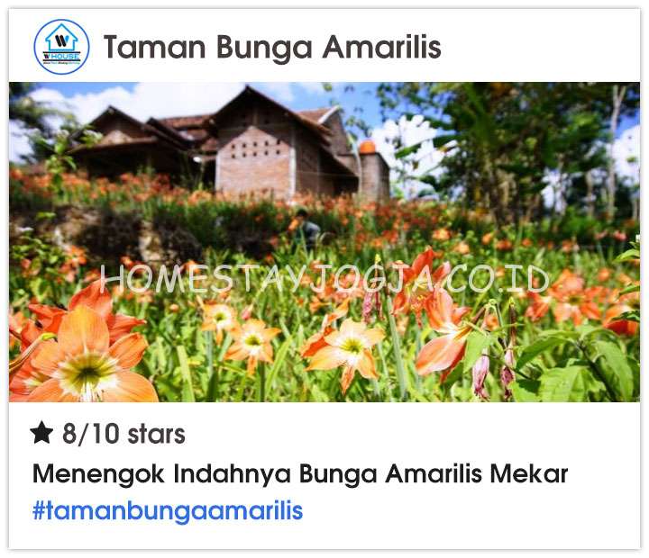 Taman Bunga Amarilis