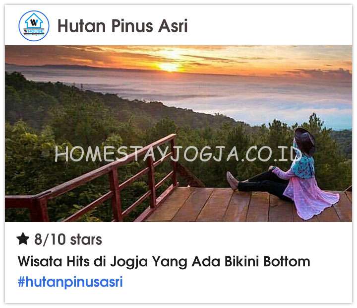 Hutan Pinus Asri