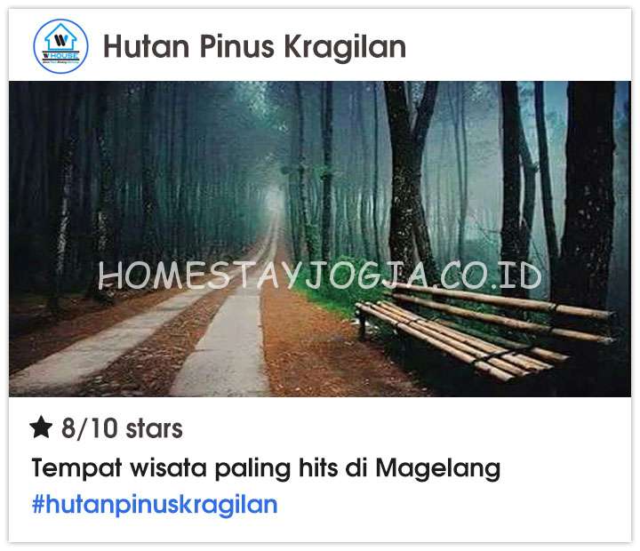 Hutan Pinus Kragilan Magelang, Wisata Hits Magelang