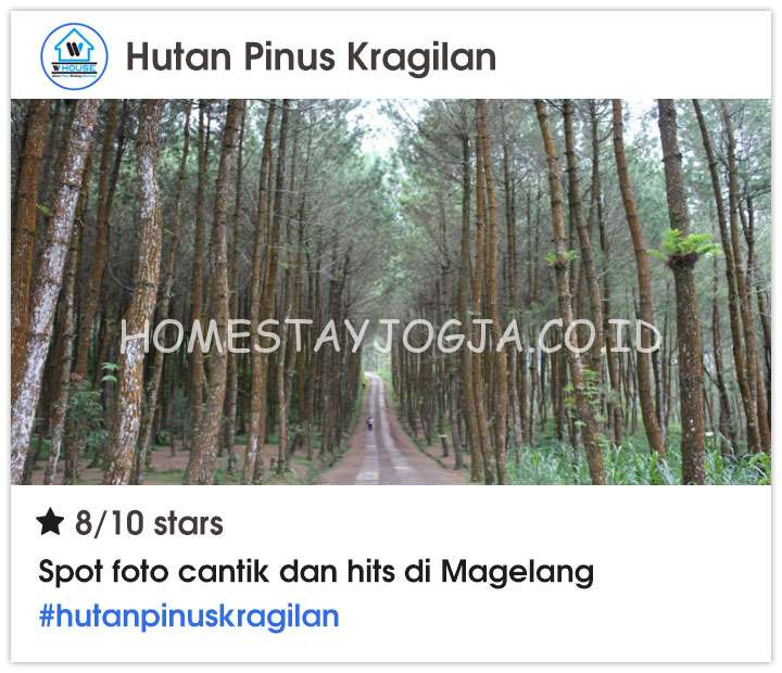 Hutan Pinus Kragilan