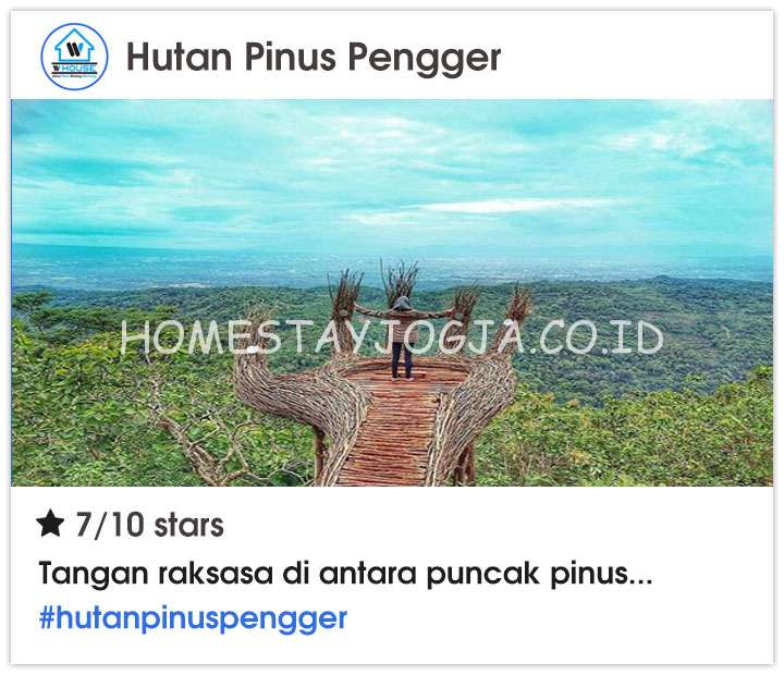 Hutan Pinus Pengger