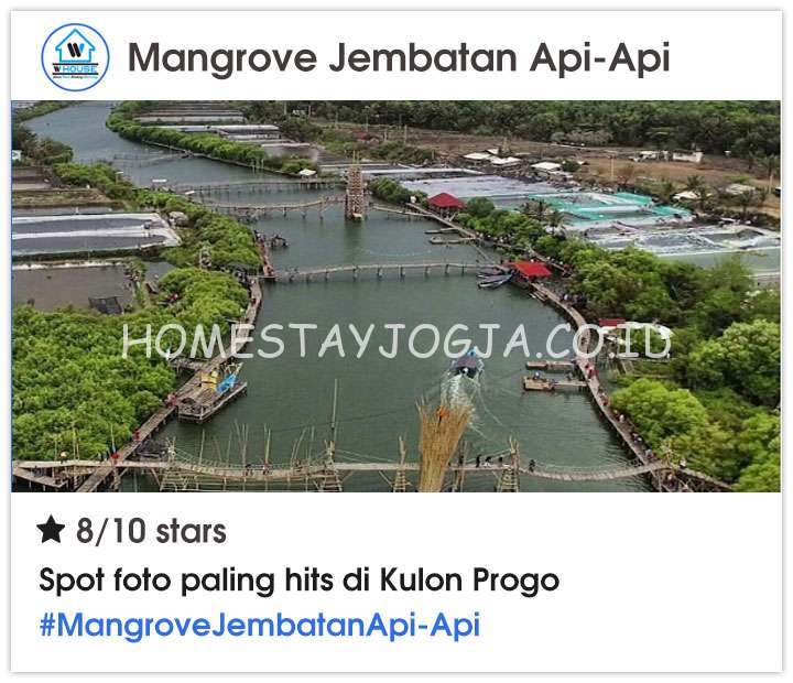 Mangrove Jembatan Api-Api kulon Progo