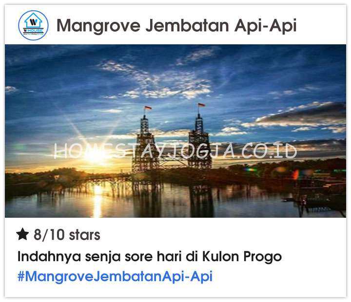 Mangrove Jembatan Api-Api kulon Progo