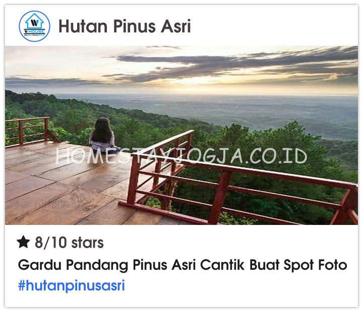 Hutan Pinus Asri