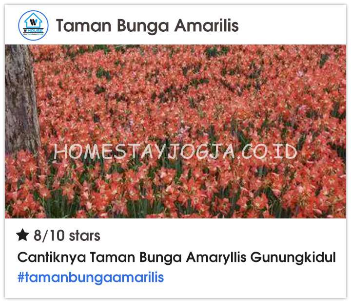 Taman Bunga Amarilis