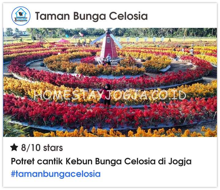 Taman Bunga Celosia Yogyakarta, Taman Bunga Celosia Jogja