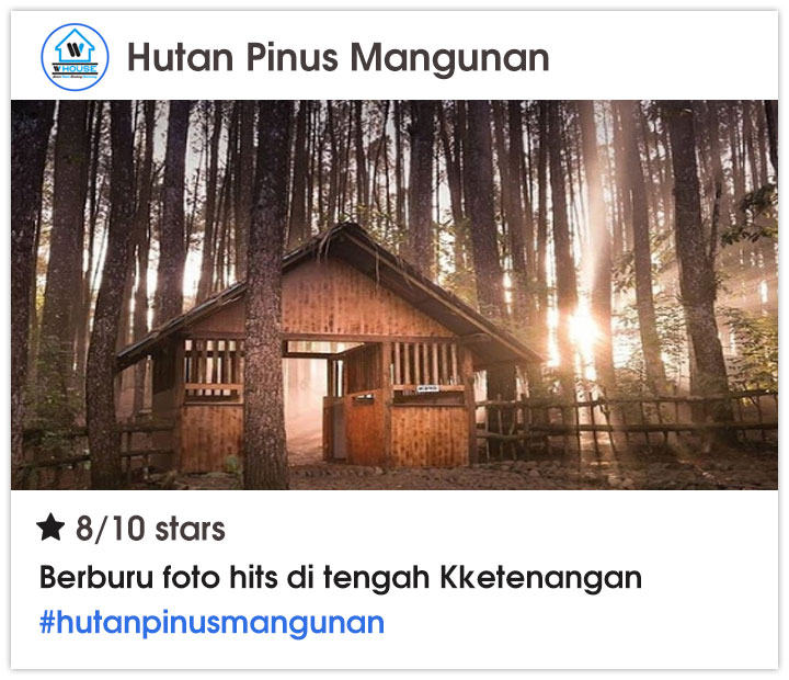 Hutan Pinus Mangunan Imogiri Bantul